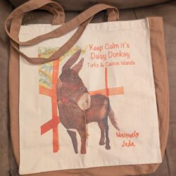 Donkey Tote